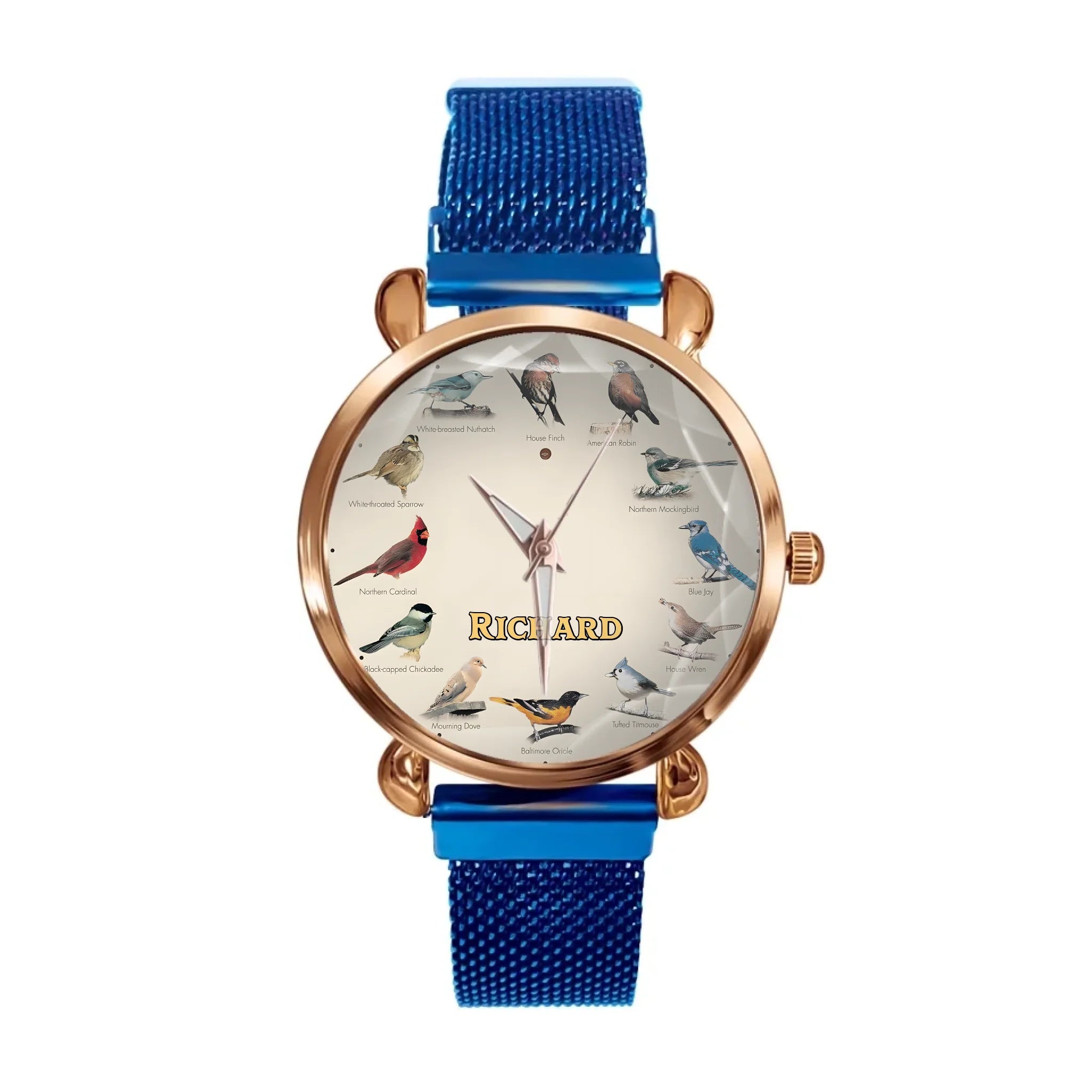 d85dd91b-d379-4a33-afcf-f2a36335daf4