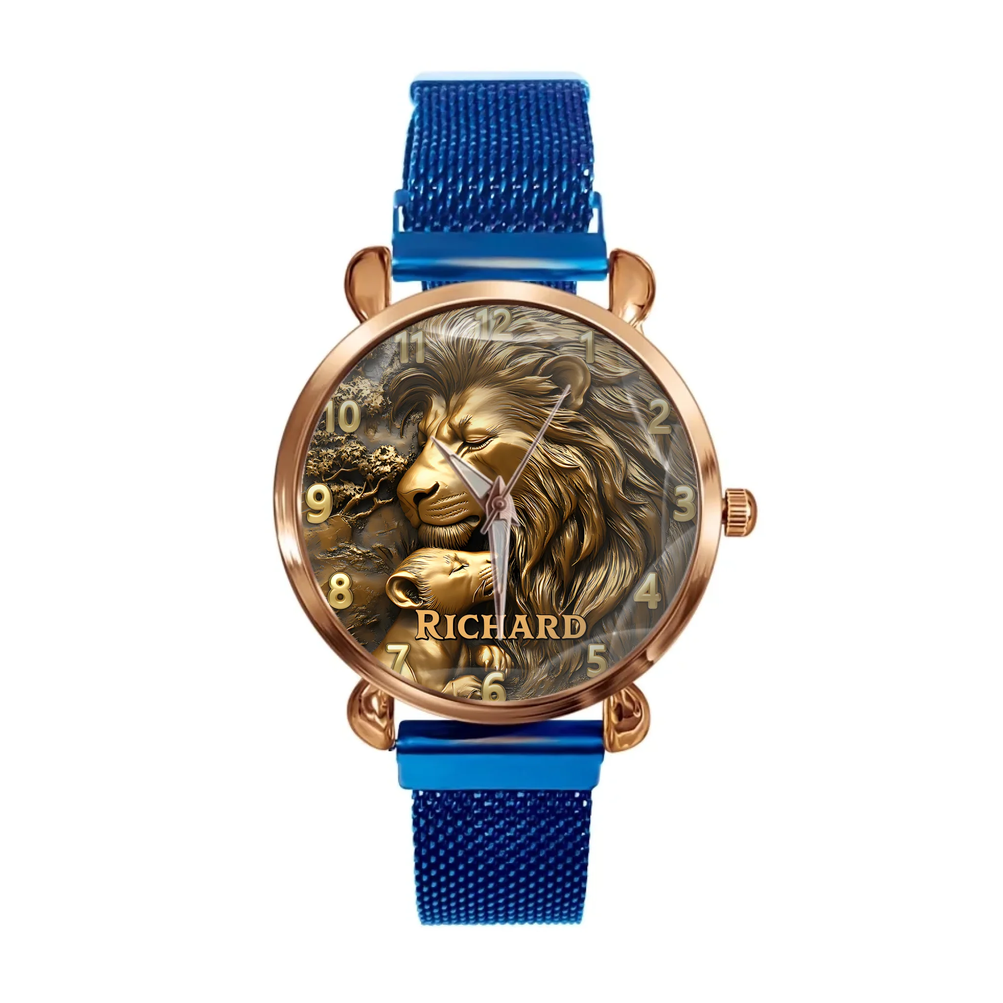 d85dd91b-d379-4a33-afcf-f2a36335daf4