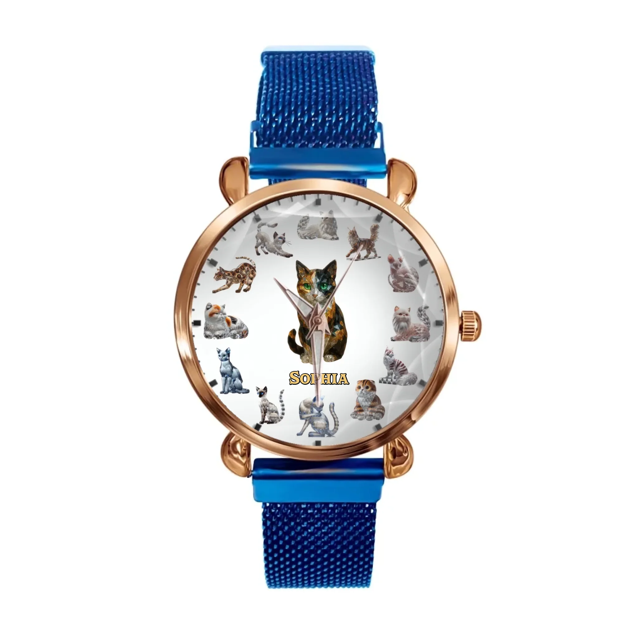 d85dd91b-d379-4a33-afcf-f2a36335daf4