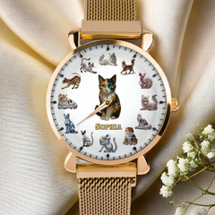 7529a4a9-0581-4197-ba7a-d82e706cc805